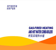 燃气采暖热水炉系统设计安装维护技术指导（团体标准）